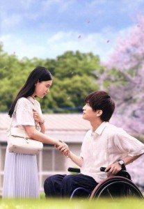 【中古】 パーフェクトワールド　君といる奇跡　豪華版（Ｂｌｕ−ｒａｙ　Ｄｉｓｃ）／岩田剛典,杉咲花,須賀健太,柴山健次（監督）,大角