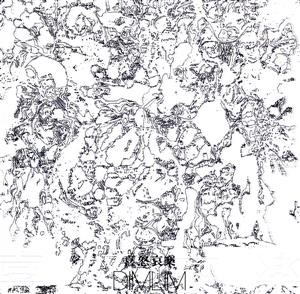 【中古】 喜怒哀楽（２ＣＤ）／ＤＩＭＬＩＭ