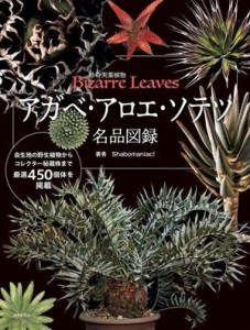 【中古】 アガベ・アロエ・ソテツ　名品図録 珍奇美葉植物　Ｂｉｚａｒｒｅ Ｌｅａｖｅｓ／ｓｈａｂｏｍａｎｉａｃ！(著者)