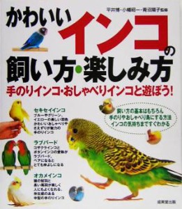 おしゃべり インコの通販 Au Pay マーケット