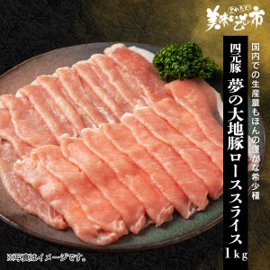 北海道 四元豚 ゆめの大地 豚ロース肉 合計１kg（２００g×５パック）/とれたて！美味いもの市