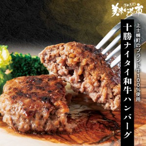 十勝ナイタイ和牛100％ハンバーグ/とれたて！美味いもの市