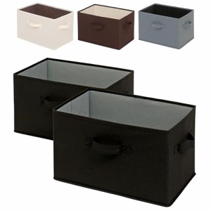 アストロ 収納ボックス 不織布製 2個セット カラーボックスにぴったり ブラック×グレー 容量20L 衣類収納 おもちゃ収納 リビング収納 小