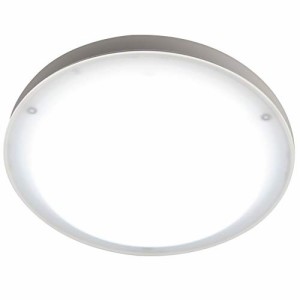 [山善] LED ミニシーリングライト 白熱電球 昼白色 100W相当 直付灯 小型 天井照明 LEDライト 省エネ 工事不要 MLC-140N