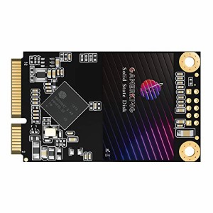 GamerKing Msata SSD 1TB SATA III 6Gb/s NGFF 内蔵型 Solid State Drive ハードドライブ 高性能ハードドライブノート/パソコン/デスクト