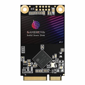 GamerKing Msata SSD 256GB SATA III 6Gb/s 内蔵型 Solid State Drive ハードドライブ 高性能ハードドライブノート/パソコン/デスクトッ