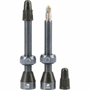 (取寄) チューボライト エアー バルブ セット Tubolight Air Valve Set Gray