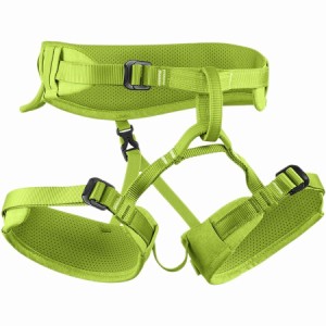 (取寄) エーデルリッド キッズ フィン 3 ハーネス - キッズ Edelrid kids Finn III Harness - Kids' Oasis