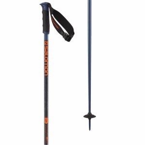 (取寄) サロモン アークティク S3 スキー ポールズ Salomon Arctic S3 Ski Poles Gunmetal