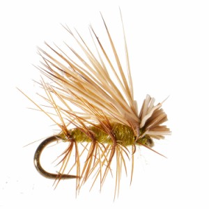 (取寄) アンプカ エルク カディス フライ - ダズン UMPQUA Elk Caddis Fly - Dozen  Olive