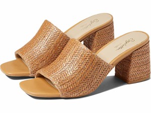 (取寄) セイシェル レディース アダプト Seychelles women Seychelles Adapt Tan Raffia