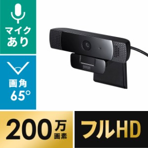 ステレオマイク内蔵WEBカメラ 200万画素 3mロングケーブル[CMS-V61BK]