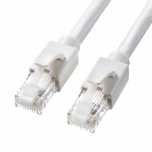 Cat6A LANケーブル  ホワイト 2m 爪折れ防止カバー[KB-T6ATS-02W]