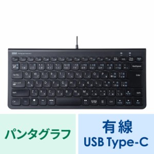 USB Type-C スリムキーボード テンキー無し ブラック[SKB-SL32CBK]