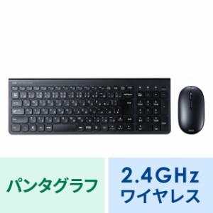 マウス付き ワイヤレスキーボード テンキー付き[SKB-WL31SETBK]