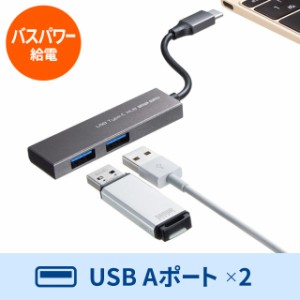 USB Type-C 2ポートスリムハブ[USB-3TCH24SN]