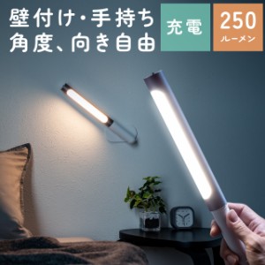 LEDライト 壁面 ウォールライト ハンディライト 充電式 250ルーメン 色温度調整対応[800-LED070DS]