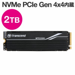 Transcend PCIe M.2 SSD 250H 1TB NVMe PCIe Gen4×4 3D NAND TS2TMTE250H[TS2TMTE250H]