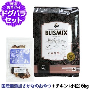 【賞味期限2024年9月10日】【店内全品送料無料】ブリスミックス チキンレシピ小粒 6kg＋お試し国産お魚おやつ 約20g  【ドッグパラダイス