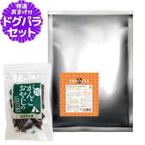 【店内全品送料無料】ピナクル ターキー＆パンプキン 8kg+国産鹿肉ジャーキー25g【ドッグパラダイス限定セット】ドッグフード 犬