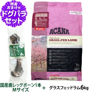 【店内全品送料無料】アカナ グラスフェッドラム 6kg+国産鹿レッグボーン 1本Mサイズ ドッグフード 全犬種 全年齢用  【ドッグパラダイス