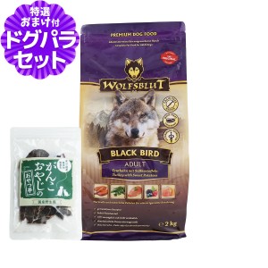 【店内全品送料無料】ウルフブラット アダルト ブラックバード （ターキーとスイートポテト）2kg+国産鹿肉ジャーキー(お試しサイズ)