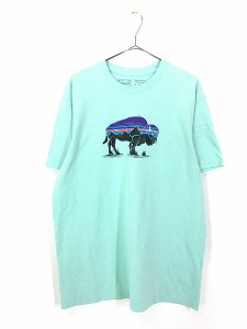 古着 18s Patagonia フィッツロイ バイソン Tシャツ L 古着