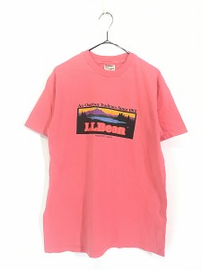 古着 80s USA製 Hanes × LL Bean 山タグ カタディンタグ 100%コトン アウトドア Tシャツ L