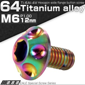 チタンボルト M6×12mm P1.00 頭部径14mm ボタンボルト 六角穴付き レインボー JA007