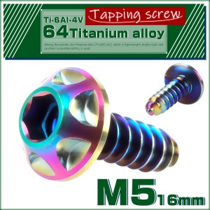 タッピングネジ M5×16mm チタン ビス スクリュー 焼チタン風 虹色 JA036