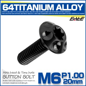 チタンボルト M6×20mm P1.0 ボタンボルト T型 トルクス穴 ブラック ホール JA1359