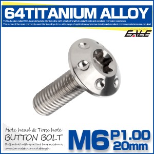 チタンボルト M6×20mm P1.0 ボタンボルト T型 トルクス穴 シルバー ホール JA869