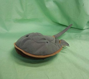 生きた化石シリーズ カブトガニ ぬいぐるみ 5013A