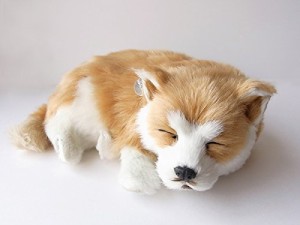 ニニアンドキノ パーフェクトペット 柴犬 Sサイズ（約22cm） ぬいぐるみ 犬 リアル 本物そっくり スヤスヤ息をしてるようにお腹が動く