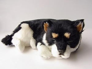 ニニアンドキノ パーフェクトペット 黒柴犬 Sサイズ（約22cm） ぬいぐるみ 犬 リアル 本物そっくり スヤスヤ息をしてるようにお腹が動く