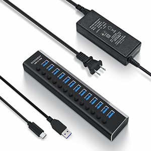 ROSONWAY USB ハブ 3.1 Gen2 10Gbps 13ポートアルミ製 72W USB HUB セルフパワー USBケーブルとType Cケーブル 付き 12V/6A ACアダプタ 