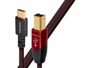 audioquest オーディオクエスト USBケーブル シナモン（USB Type C-B）《USB2/CIN/1.5M/CB》USB2 CINNAMON/1.5m/CB