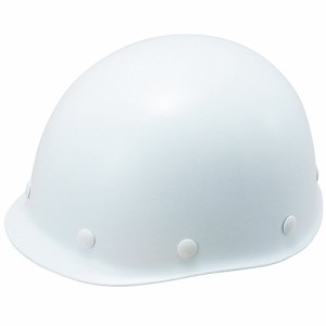 タニザワ 「キッズヘルメット」(2-15歳子供用保護帽）ホワイト 国家検定品