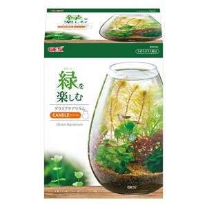 ジェックス GEX AQUARIUM グラスアクア キャンドル 水草 多肉植物 コケリウム テラリウム ガラス製 約4L