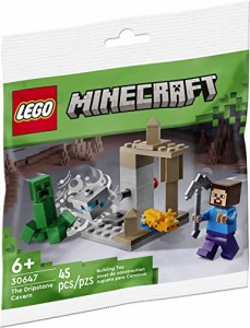 レゴ（LEGO) マインクラフト 鍾乳洞 ミニセット 30647
