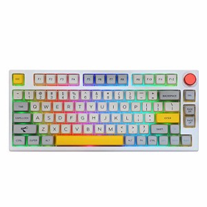 EPOMAKER Theory TH80 75% ホットスワップ対応 RGB 2.4Ghz/Bluetooth 5.0/ 有線 メカニカル ゲーミング キーボード MDA PBTキーキャップ 