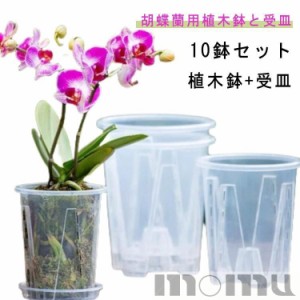 植木鉢 激安の通販｜au PAY マーケット