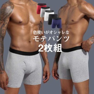 2枚セット ボクサーパンツ ボクサーブリーフ メンズ 下着 無地 細身 脇肉 通気性 綿 通気性良い 快適 総レース セクシー セ