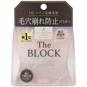 サナ毛穴パテ職人毛穴崩れブロックパウダー[倉庫区分NO]