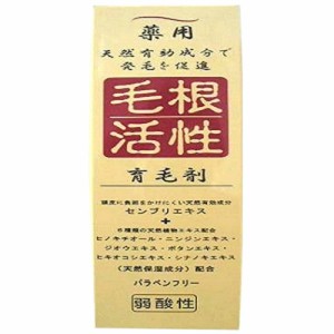 毛根活性育毛剤150ML × 24点[倉庫区分NO]