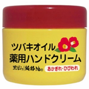 ツバキオイル薬用ハンドクリーム80G[倉庫区分NO]