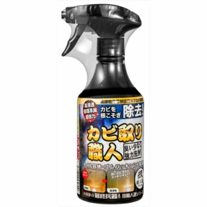 技職人魂 カビ取り職人 500ml[倉庫区分NO]