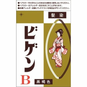 ビゲンB自然な黒褐色 × 60点[倉庫区分NO]