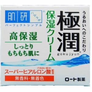 肌研極潤ヒアルロンクリーム50G × 48点[倉庫区分NO]