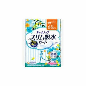 チャームナップスリム吸水ガード安心の中量16枚 × 24点[倉庫区分NO]